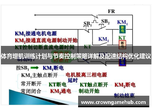 体育增肌训练计划与节奏控制策略详解及配速结构优化建议