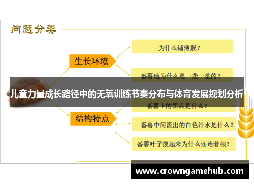 儿童力量成长路径中的无氧训练节奏分布与体育发展规划分析