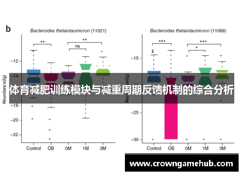 体育减肥训练模块与减重周期反馈机制的综合分析